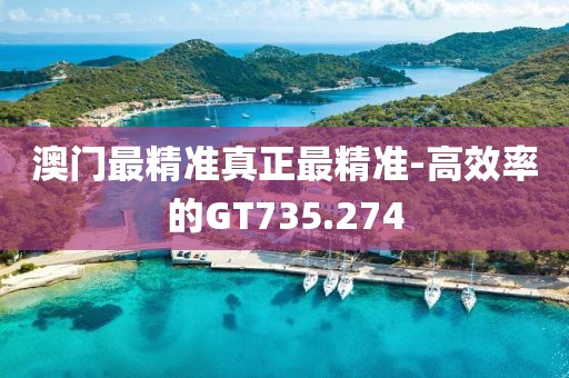 澳门最精准真正最精准-高效率的GT735.274