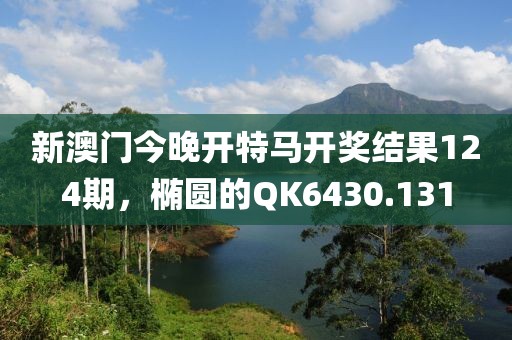 新澳门今晚开特马开奖结果124期，椭圆的QK6430.131