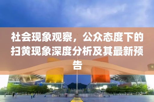 社会现象观察，公众态度下的扫黄现象深度分析及其最新预告
