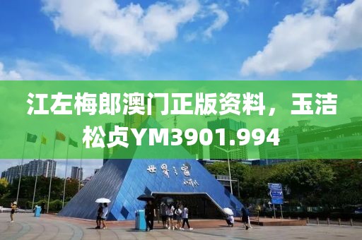 江左梅郎澳门正版资料，玉洁松贞YM3901.994