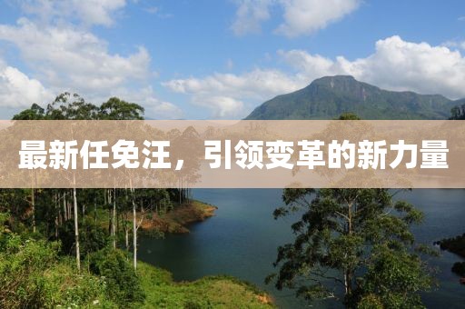 最新任免汪，引领变革的新力量