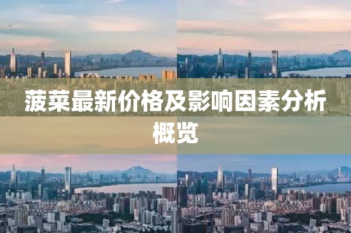 菠菜最新价格及影响因素分析概览