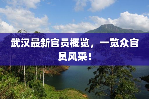 武汉最新官员概览，一览众官员风采！