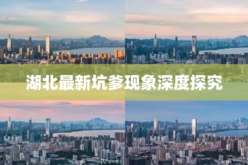 湖北最新坑爹现象深度探究