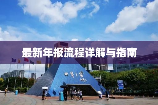 最新年报流程详解与指南