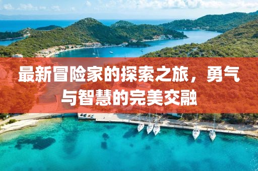 最新冒险家的探索之旅，勇气与智慧的完美交融