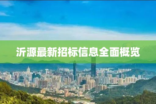 沂源最新招标信息全面概览