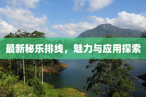 最新秘乐排线，魅力与应用探索