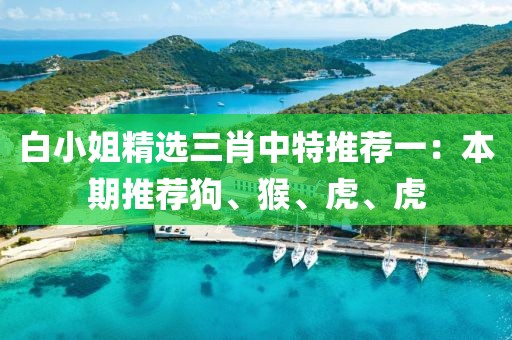 红尘雪 第20页