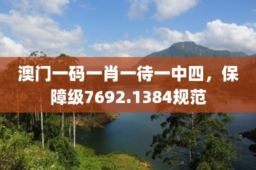 澳门一码一肖一待一中四，保障级7692.1384规范