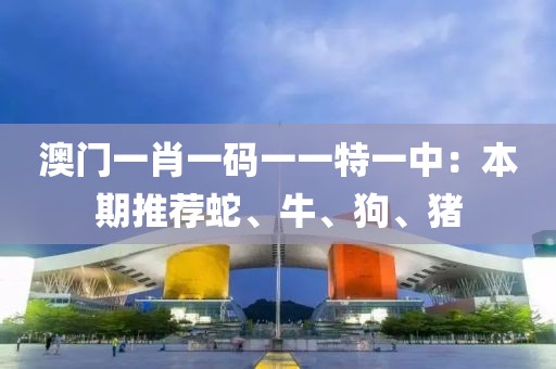 澳门一肖一码一一特一中：本期推荐蛇、牛、狗、猪