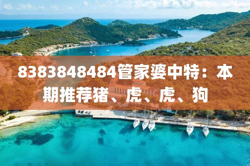 8383848484管家婆中特：本期推荐猪、虎、虎、狗
