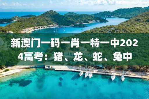 2025年1月 第383页