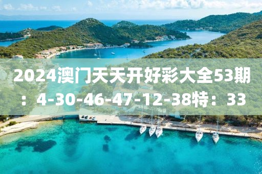 2024澳门天天开好彩大全53期：4-30-46-47-12-38特：33