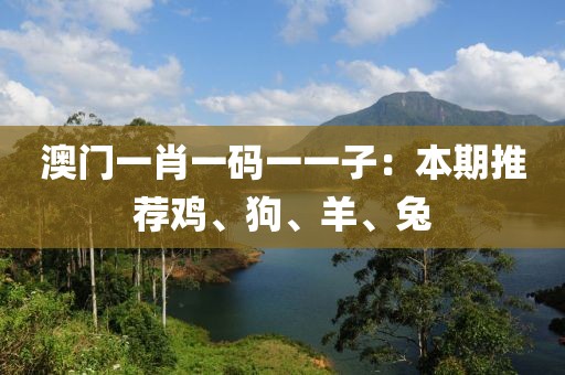 澳门一肖一码一一子：本期推荐鸡、狗、羊、兔