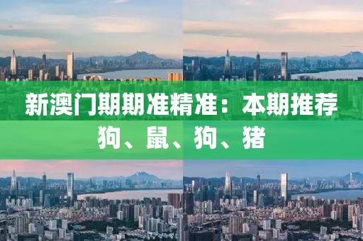 新澳门期期准精准：本期推荐狗、鼠、狗、猪