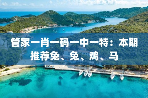 管家一肖一码一中一特：本期推荐兔、兔、鸡、马