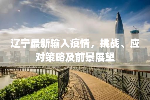 辽宁最新输入疫情，挑战、应对策略及前景展望