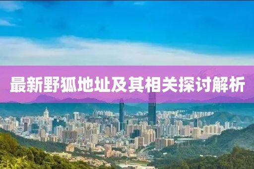最新野狐地址及其相关探讨解析
