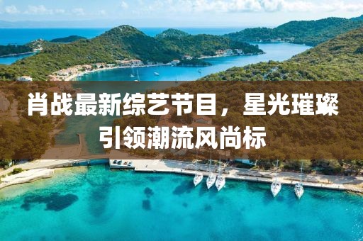 肖战最新综艺节目，星光璀璨引领潮流风尚标