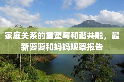 家庭关系的重塑与和谐共融，最新婆婆和妈妈观察报告
