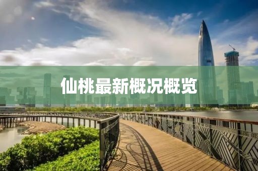 秋色揉碎月光 第19页