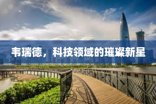 韦瑞德，科技领域的璀璨新星
