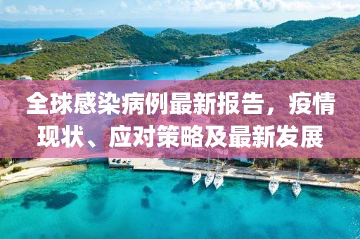 全球感染病例最新报告，疫情现状、应对策略及最新发展