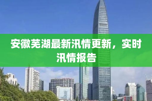 安徽芜湖最新汛情更新，实时汛情报告