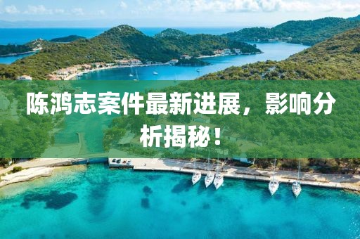 陈鸿志案件最新进展，影响分析揭秘！