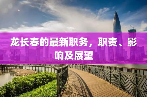 龙长春的最新职务，职责、影响及展望