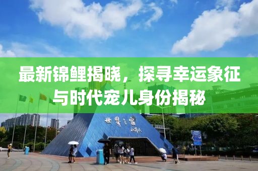 最新锦鲤揭晓，探寻幸运象征与时代宠儿身份揭秘