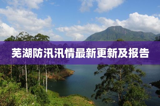 芜湖防汛汛情最新更新及报告