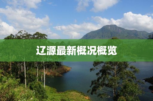 辽源最新概况概览