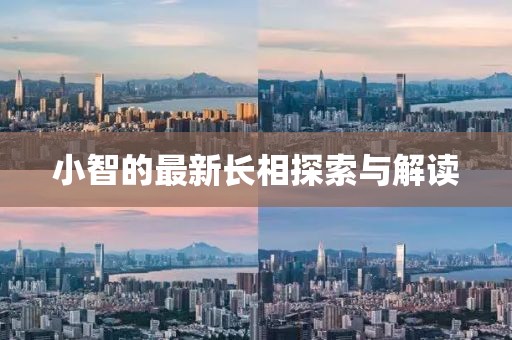 小智的最新长相探索与解读