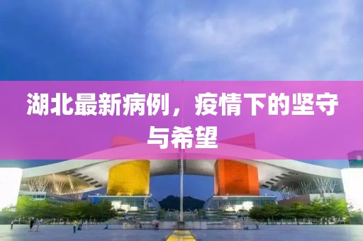 湖北最新病例，疫情下的坚守与希望