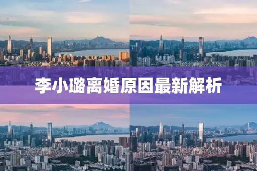 李小璐离婚原因最新解析