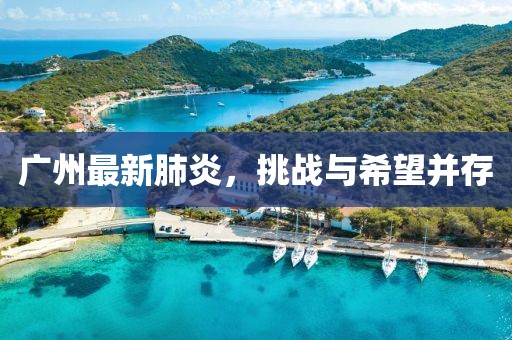 广州最新肺炎，挑战与希望并存