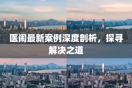 医闹最新案例深度剖析，探寻解决之道