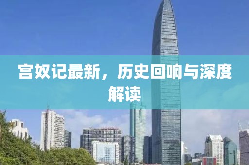 宫奴记最新，历史回响与深度解读