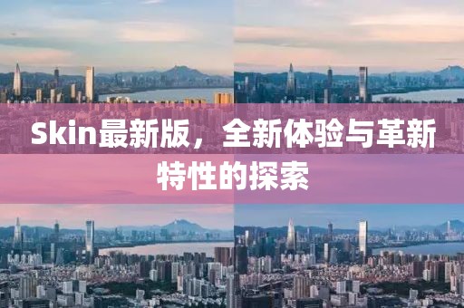 Skin最新版，全新体验与革新特性的探索