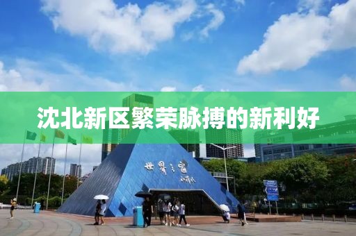 沈北新区繁荣脉搏的新利好