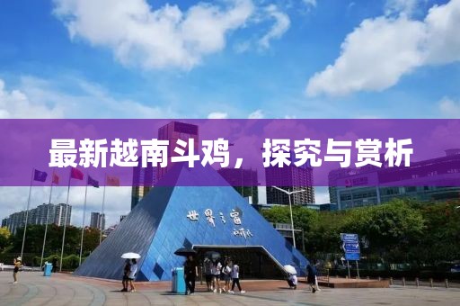 最新越南斗鸡，探究与赏析