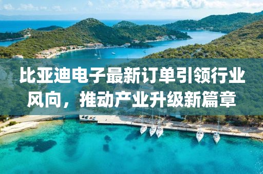 比亚迪电子最新订单引领行业风向，推动产业升级新篇章