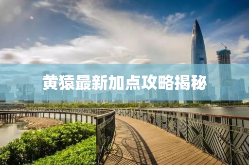 黄猿最新加点攻略揭秘