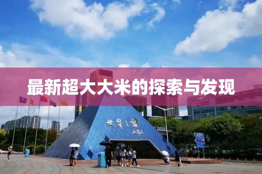 最新超大大米的探索与发现