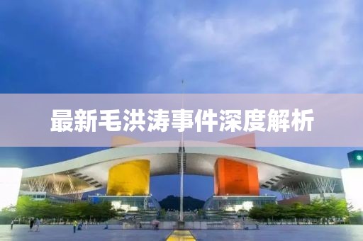 最新毛洪涛事件深度解析