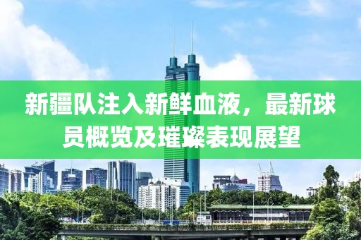 新疆队注入新鲜血液，最新球员概览及璀璨表现展望