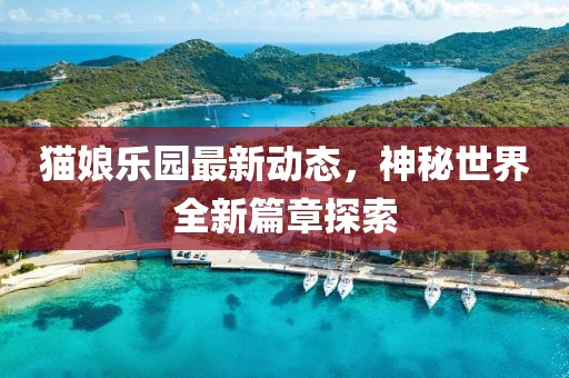 猫娘乐园最新动态，神秘世界全新篇章探索