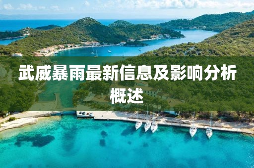 武威暴雨最新信息及影响分析概述